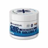CBD SOLUBLE DANS L'EAU 20% 100 GRAMMES | Plant of Life