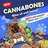 Friandise au CBD chien| PLANTS FOR PETS