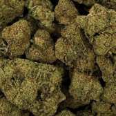 Fleur de CBD - RASPBERRY HAZE