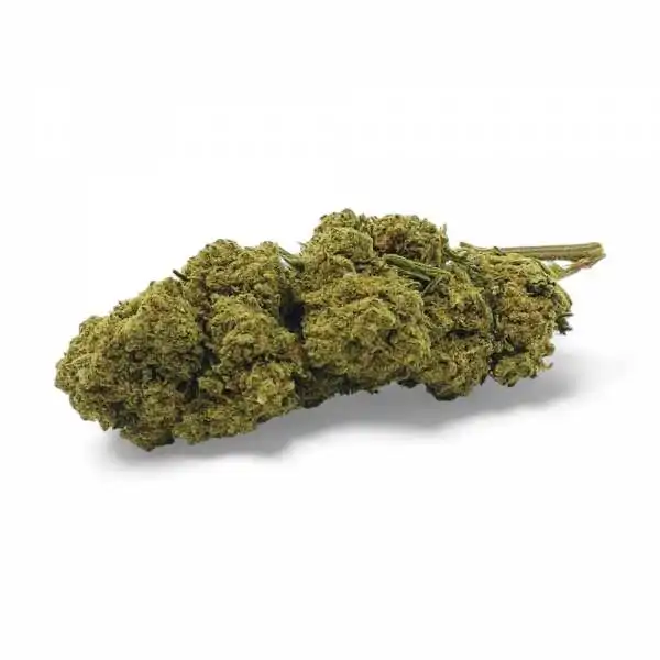 Fleur de CBD Harlequin...