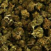 Fleur de CBD - SMALL BUD