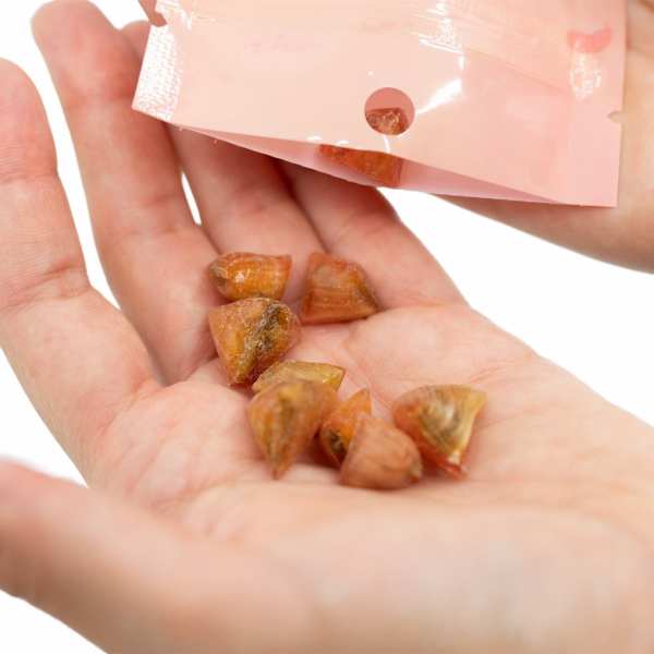Bonbon CBD pamplemousse |...