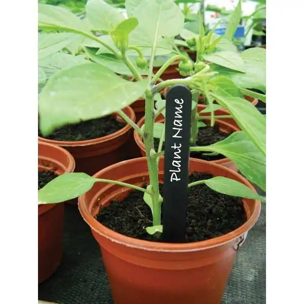 Étiquettes pour plantes...