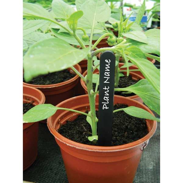 Étiquettes pour plantes...