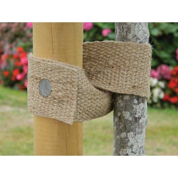 Attache d'arbre en toile...