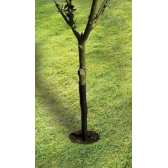 Protège-arbre en spirale 61cm