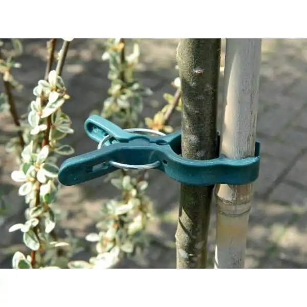 Grandes pinces à plantes...