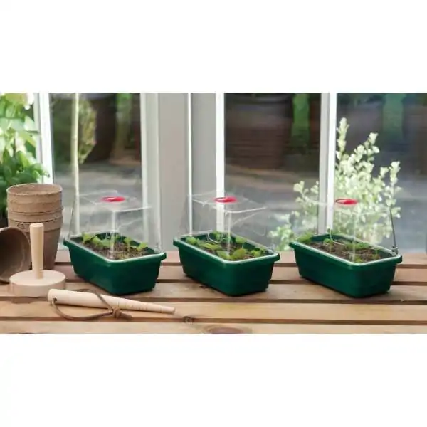 Lot de 3 mini serres...