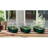 Lot de 3 mini serres propagateur High Dome