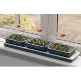Propagateur de rebord de fenêtre électrique Trio Top