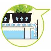 Lampe de culture Grow Light Jardin Blanc