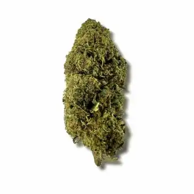 CBD MCP-N 20%