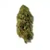 CBD MCP-N 20% CBD MCP-N 20%