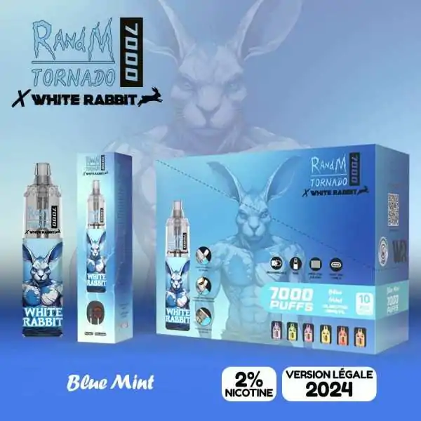 White Rabbit x RandM...