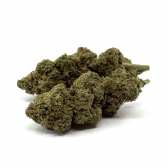 Fleur de CBD AK-47 Premium