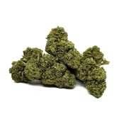 Fleur de CBD Gorilla Glue Greenhouse