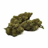 Fleur CBD Blue Dream Greenhouse