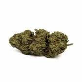 Fleur de CBD White Widow Greenhouse