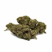 Fleur de CBD White Widow Greenhouse