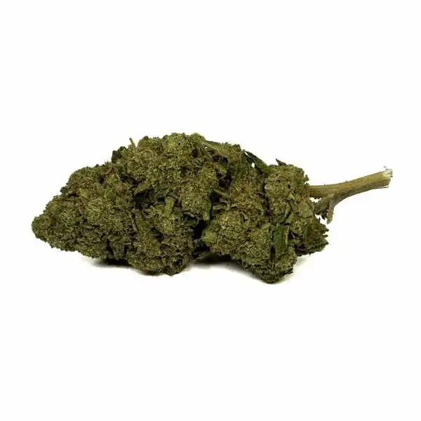 Fleur de CBD OG Kush...