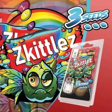 3 Graines Zkittlez AUTO | Plant of Life