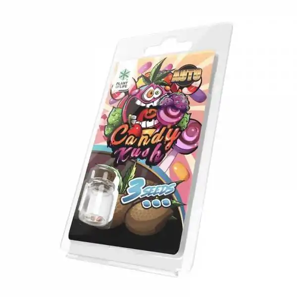 3 Graines Candy Kush AUTO |...