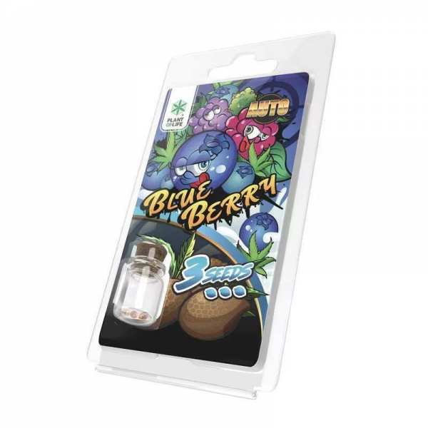 3 Graines Blueberry AUTO |...