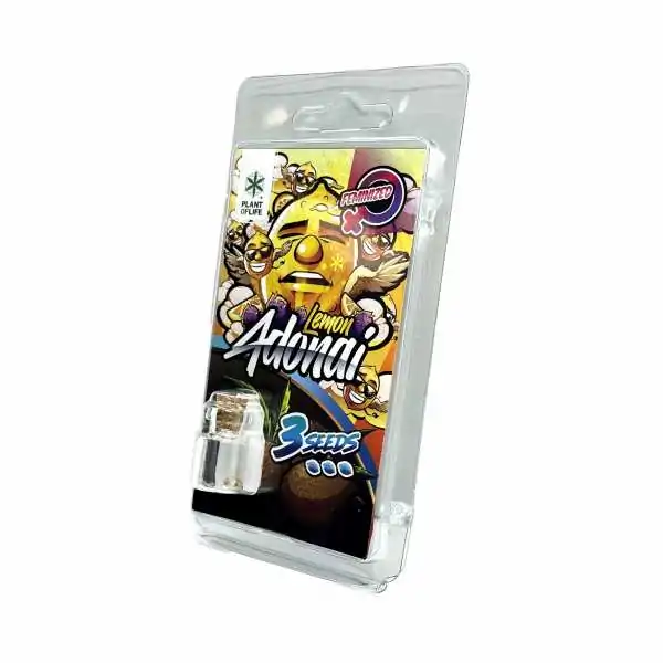 3 Graines Lemon Adonai...