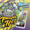 3 Graines Purple Haze FÉMINISÉE | Plant of Life