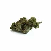 Fleur de CBD California Kush Greenhouse Premium