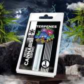 Terpène Blueberry Diesel | PLANT OF LIFE