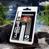 Terpène Strawberry Diesel | PLANT OF LIFE