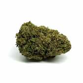 Fleur de CBD California Pink Haze NL-1 10%