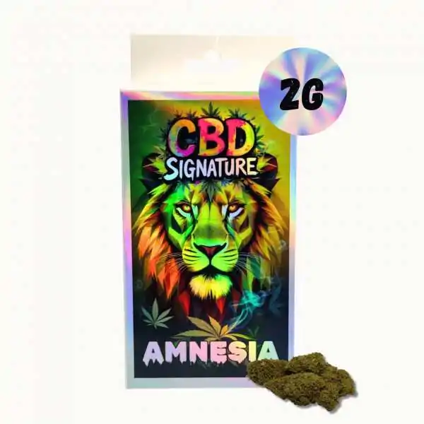 Fleur de CBD Amnesia 2G -...