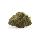 Fleur CBD TROPICAL HAZE Indoor Premium Suisse