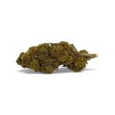 Fleur CBD Critical+ Greenhouse 8%