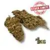 Déstockage Fleur de CBD Tonic Kush Outdoor 1KG - Quantité Limitée