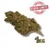Déstockage Fleur de CBD Tonic Kush Outdoor 1KG - Quantité Limitée