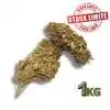 Déstockage Fleur de CBD Tonic Kush Outdoor 1KG - Quantité Limitée