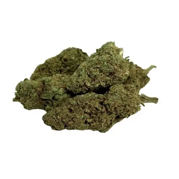 Fleur Tropical Haze 2.0...