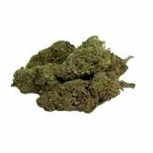 Fleur Tropical Haze 2.0 CBDX (CBD Xtrem)  NL-1 Indoor
