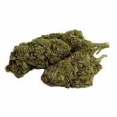 Fleur Tropical Haze 2.0 CBDX (CBD Xtrem)  NL-1 Indoor