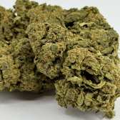 Fleur de CBD Candy Kush Greenhouse