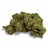 Fleur de CBD Candy Kush Greenhouse