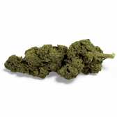 Fleur de CBD Candy Kush Greenhouse