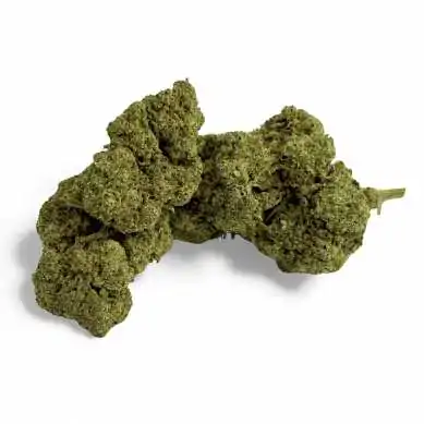 Fleur de CBD Grape Gas Greenhouse
