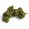 Fleur de CBD Grape Gas Greenhouse