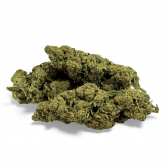 Fleur de CBD Super White Frost Greenhouse