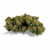 Fleur de CBD Super White Frost Greenhouse