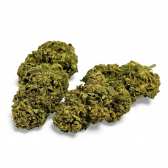 Fleur de CBD Banana Smash Greenhouse